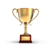 Trophée en métal de grande taille fait main pour les champions sportifs d'assurance, avec logo et emballage personnalisés