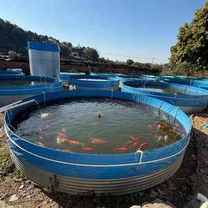 Bassin de pisciculture circulaire mobile en toile haute densité et tôle galvanisée à <span class=keywords><strong>vendre</strong></span> - Product Image 2