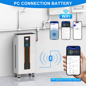 Batteria al Litio LiFePO4 51.2V 30Kwh 280Ah 300Ah 15Kwh Powerwall 10Kwh 48V per Imprese di Accumulo Energetico Solare (Disponibile in UE) - Product Image 6