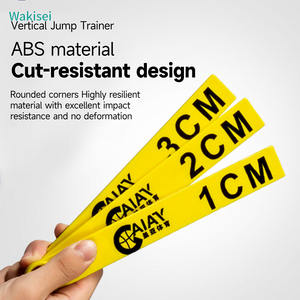 Springtraining met roestvrijstalen touw voor jonge kinderen - Bevorder hoog verticaal springen en lange lichaamslengte testen - Product Image 5