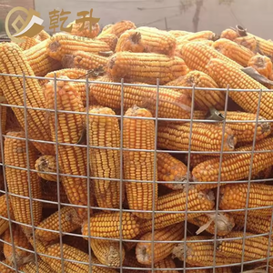 थोक मूल्य 1/2 "प्लास्टिक लेपित गेज 20 वेल्डेड वायर मेष-3 फीट - Product Image 5