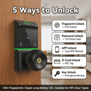 Aluminum Alloy Ball Smart Lock with Biometric Fingerprint RFID Card Reader Keypad WIFI TUYA App Control Cloud Storage <strong>Door</strong> <strong>Knob</strong> - Product Image 4