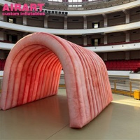 Túnel Inflable Personalizado con Modelo de Colon para Exhibición de Ciencias Médicas