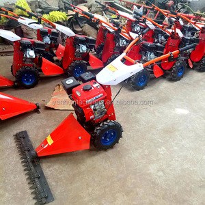 Desbrozadora/cortadora de césped de 4 tiempos con motor famoso de venta a Tailandia - Product Image 2