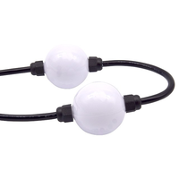 DMX512 haute performance DC24V 20pcs/strand IP20 360 °   Guirlande lumineuse LED RGB RGBW pour la décoration de façade de parc d'attractions