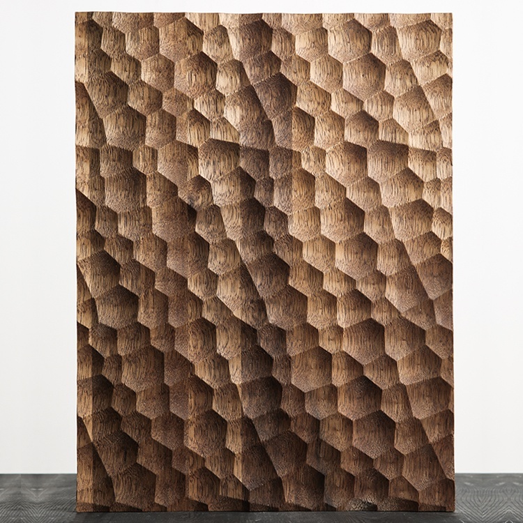 Contemporary Decorative Paulownia Timber Cladding 3D