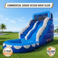 DFRL Piscina de Bolas con Tobogán, Castillo Inflable Comercial, Alquiler de Equipos para Fiestas, Garantía de 3 Años, Personalizable