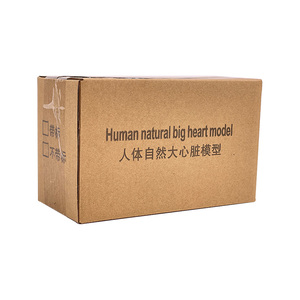 डिजिटल पहचान के साथ एक प्राकृतिक बड़ा दिल शरीर रचना शिक्षण मॉडल - Product Image 6