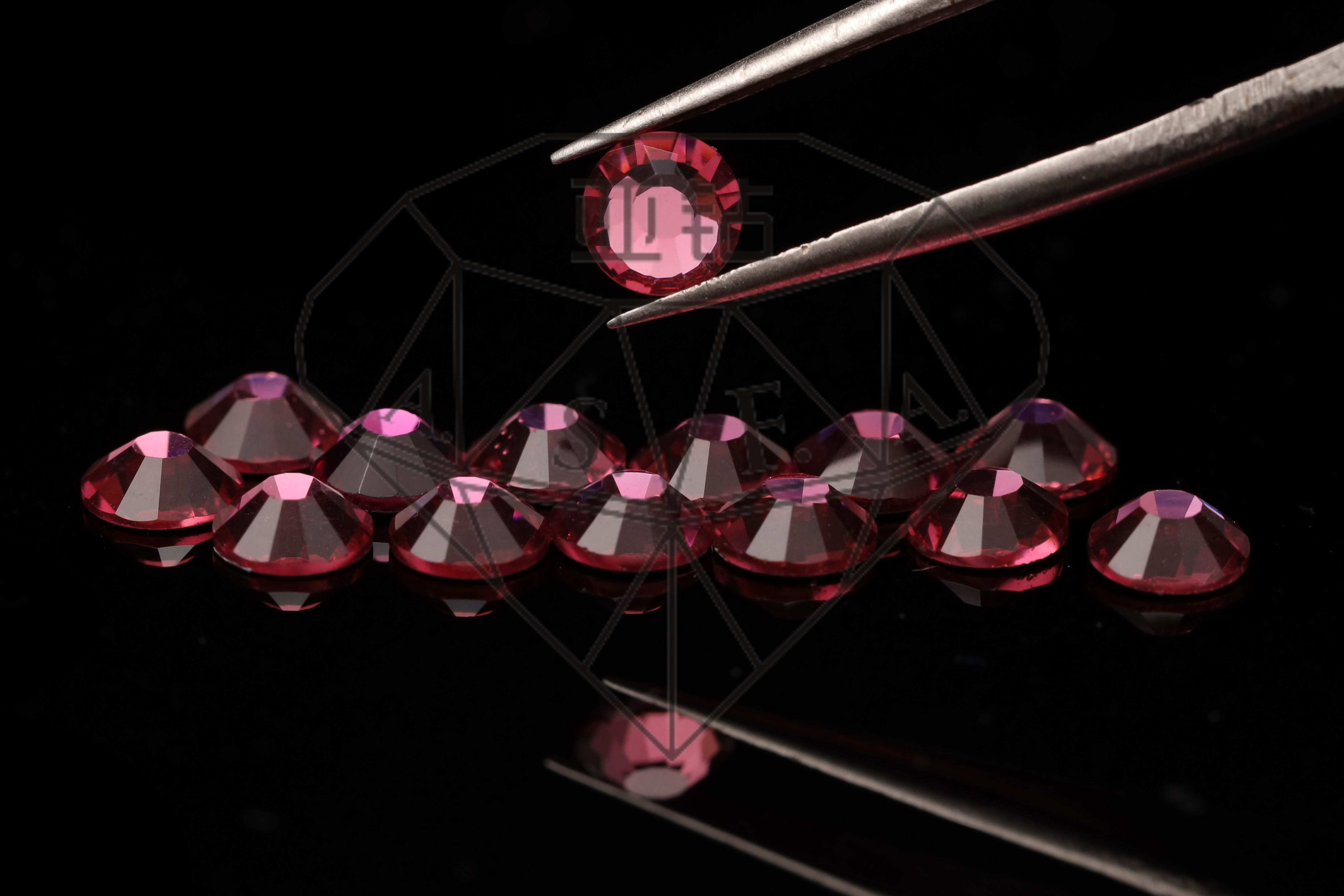 กุหลาบ109