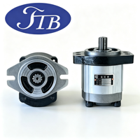 Pompe à engrenages hydraulique FTB 274-2491 Takeuchi CLG225 pour excavatrice Takeuchi TB225 TB230, pièces de rechange OEM de haute précision