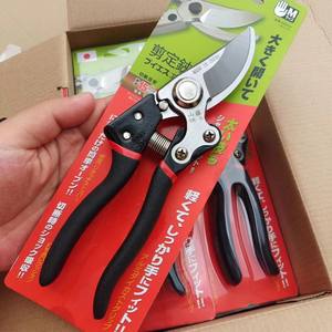 กรรไกรตัดแต่งกิ่งสวนชานเต็ง วี 10 สแตนเลสสตีล เส้นผ่านศูนย์กลางการตัดแต่ง 20-30 มม. ผลิตในญี่ปุ่นสำหรับตัดดอกไม้ต้นไม้ผลไม้ - Product Image 3