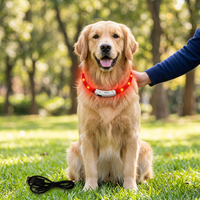 Collier lumineux transfrontalier pour chien, en gel de silicone LED, accessoire pour animaux de compagnie, collier clignotant lumineux pour mariage et fête - Japon Corée du Sud