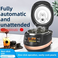 Machine à Perles de Tapioca Entièrement Automatique et Intelligente en Plastique Commercial pour Salons de Thé