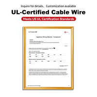 Kabel Tembaga Berlapis Timah PVC AWM UL11627 untuk Industri Penyimpanan Energi dan Pengkabelan Internal, Ukuran 26~4/0AWG, 2000V, 105°C