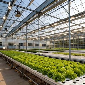 Estructura Modular de Ensamblaje Rápido, Vano y Altura Personalizables, Invernadero de Vidrio Multi-vano de Bajo Mantenimiento - Product Image 6