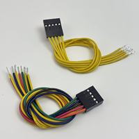 Kabel Elektronik DIY Dupont Custom 5P 2*5 2*10 Housing Dupont Pre-stripped Kabel Jumper Berujung Timah