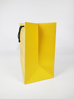 Sac en papier cadeau de luxe écologique en gros avec logo personnalisé et poignée en ruban