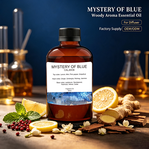 Olio Profumato Concentrato all'Ingrosso 500ML - Il Mistero del Blu - Fragranza Liquida a Lunga Durata - Bestseller di Marca Designer - Product Image 2