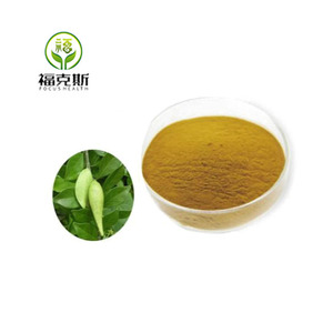 Thực phẩm lớp Gymnema sylvestre lá chiết xuất bột 25% gymnemic axit thực vật tự nhiên chiết xuất - Product Image 2