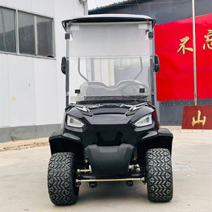 Voiturette de golf 2 places Premium 2025-Offre à durée limitée - Product Image 4