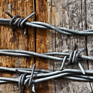 Steel Bull Factory Venta directa Hoja protectora Maquinilla <span class=keywords><strong>de</strong></span> afeitar <span class=keywords><strong>de</strong></span> <span class=keywords><strong>alambre</strong></span> <span class=keywords><strong>de</strong></span> hierro para cercas Acabado galvanizado para fines <span class=keywords><strong>de</strong></span> seguridad <span class=keywords><strong>Alambre</strong></span> <span class=keywords><strong>de</strong></span> púas - Product Image 2