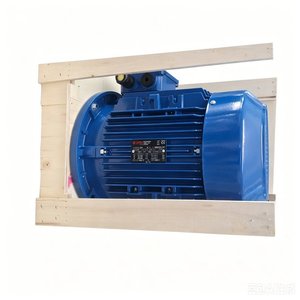 มอเตอร์อะซิงโครนัสสามเฟส Elvem รุ่น 6T3 90L4 1.5 กิโลวัตต์ 230/400 โวลต์ สำหรับการอัปเกรดสายการผลิต - Product Image 2