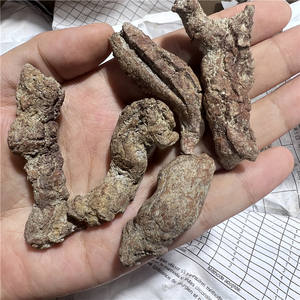 Vente en gros de fèces de dinosaures spécimens de monazite naturelle <span class=keywords><strong>fossile</strong></span> <span class=keywords><strong>os</strong></span> rare minéraux bruts cristal - Product Image 1