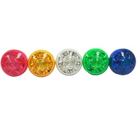 Lumière LED en plastique E14 de 45 mm, couleur unique, éclairage de manège, IP65, 21 points lumineux LED pour manèges de parcs d'attractions