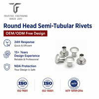 Rivets semi-tubulaires à tête ronde personnalisés TianFang pour prototypes d'enclos électroniques, acier oxydé noir, production de précision