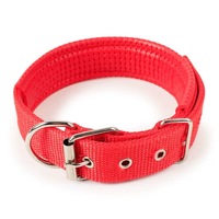 Collier pour chien en polyester tissé solide, respirant, réglable et durable avec boucle, adapté aux chiens de taille moyenne et grande
