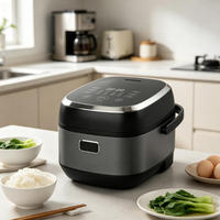 Cuisinière à riz portable intelligente IH avec cuve émaillée, boîtier en plastique, contrôle numérique du minuterie, inclut une tasse doseuse pour usage domestique et hôtelier