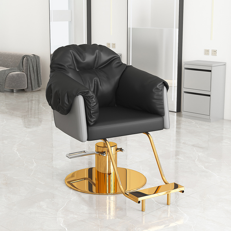 Black and gray stainless steel with gold-colored chassis