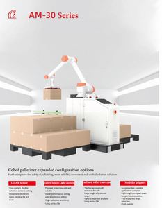 Robot Colaborativo Ajustable para Paletización con Carga Útil de 30 kg Utilizado en la Industria Química para Paletizar Artículos Pesados - Product Image 4