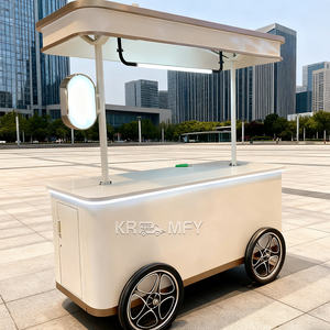 Camion de nourriture mobile électrique 2025 pour la vente de glaces, chariot à main avec congélateur pour la présentation de gelato - Product Image 1