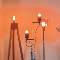 Ampoule LED avec sel rose de l'Himalaya pour le salon et le bureau-Lampe au sel naturel avec lueur ambrée chaude