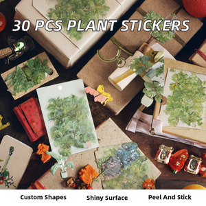 30 Stück/Packung <span class=keywords><strong>Mocard</strong></span> Haustier-Vinyl-Aufkleber-Set Grünpflanzen-Kollektion DIY Dekorative Aufkleber Selbstklebend Gestanzt 6 - Product Image 2