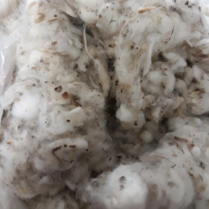 100% coton Comber Noil/Card Fly/Lickerin pour filature Ms.Xavia + 84 333371330 - Product Image 1