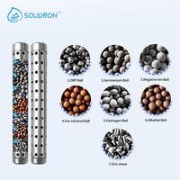 Bâton d'eau à hydrogène alcalin d'origine SUS304 pH Alkaliseur Hydrogène Minéral Ioniseur Purificateur de baguette en acier inoxydable