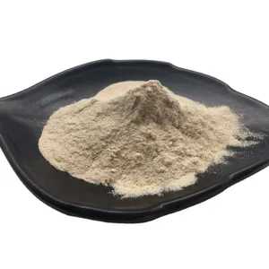 Wholesale Food Grade Potato Protein 80% 90% Potato Protein Powder