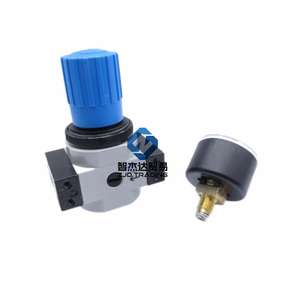 Regolatore di Pressione F E S T O LR-1/8-D-MINI Nuovo e Originale - Product Image 2