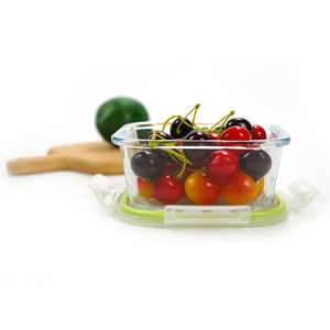 Casa jardín bebé Mini <span class=keywords><strong>de</strong></span> alimentos <span class=keywords><strong>de</strong></span> vidrio congelador <span class=keywords><strong>comer</strong></span> sobras <span class=keywords><strong>de</strong></span> contenedores <span class=keywords><strong>de</strong></span> almacenamiento con Bpa gratis tapas - Product Image 5