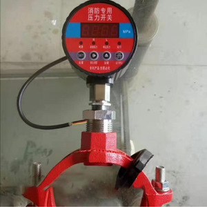 Pressostat DN200 PN16 pour eau, en laiton, IP65, contrôle de pression - Product Image 4