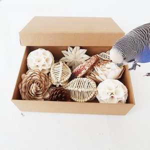 10 jouets à mâcher naturels pour perroquets, jouets écologiques pour oiseaux d'intérieur, boîte cadeau - Product Image 1