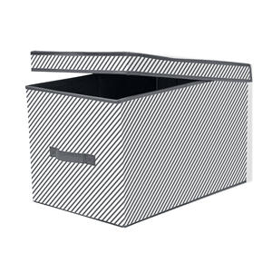 Scatola Portaoggetti con Manici 31,5x48 H. 30CM Assortita - Product Image 1