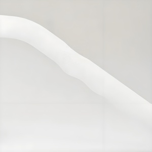 Giá tốt nhất thị trường Châu Âu Silicone vòi hoa sen gạt nước giống cây chổi trắng với cao su và nhựa xử lý cho cửa sổ Glass gương - Product Image 2