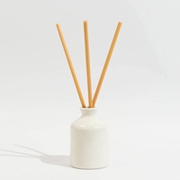 Bouteille de diffuseur en céramique personnalisée impression de logo en forme de taille de couleur personnalisée, etc., diffuseur d'arôme de roseau en céramique