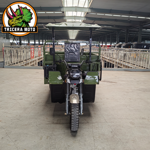 Tricycle benne TRICERA MOTO 250cc 2 tonnes à succès en Amérique du Sud pour la logistique de courte portée de marchandises dans les ranchs, les mines et les communes - Product Image 6