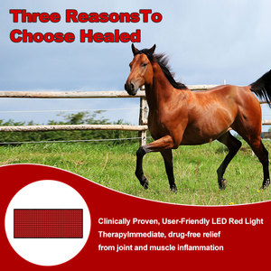 Soins aux chevaux Animaux Arthrite Soulagement de la douleur Personnalisable Horse Therapy Blanket - Product Image 2