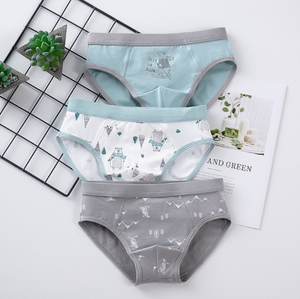 Slip boxer in cotone senza cuciture, nuovo design, morbidi, per ragazzi, vendita all'ingrosso, biancheria intima per bambini, <span class=keywords><strong>pantaloncini</strong></span> per ragazzi - Product Image 2