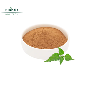 Poudre d'extrait de feuille d'ortie 100% naturelle de qualité alimentaire, extraite par solvant, flavonoïdes et polyphénols, 100% passant le tamis 80 - Product Image 1